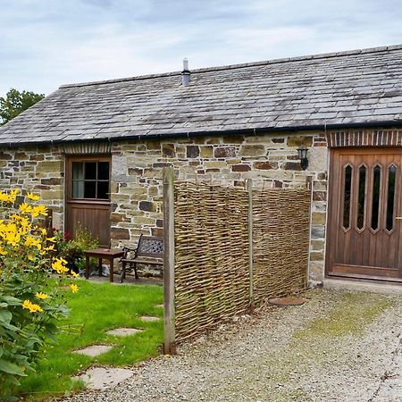 Penno Cottage - 24440 Bodmin Esterno foto